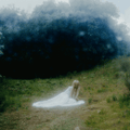 Wisp - If Not Winter (New CD)