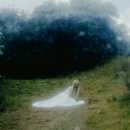 Wisp - If Not Winter (New CD)