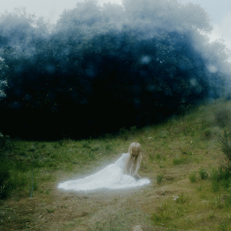 Wisp - If Not Winter (New CD)