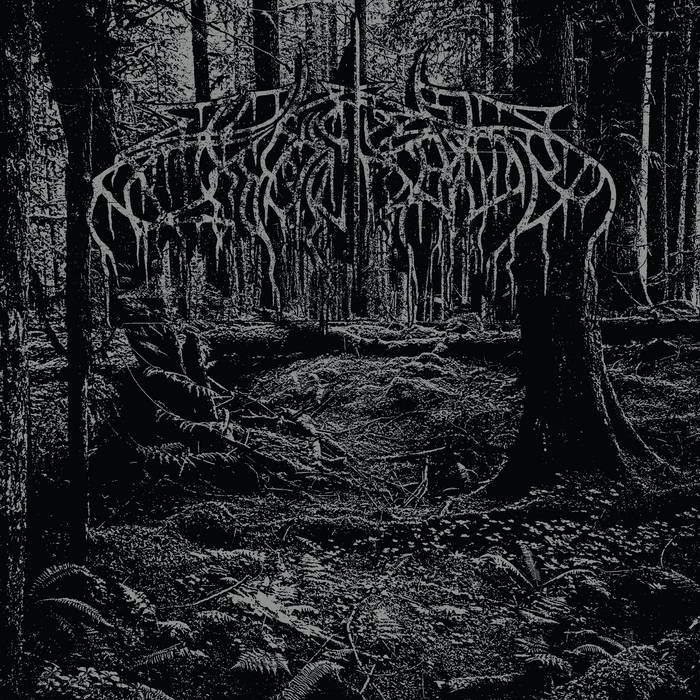 Wolves In The Throne Room - 2005 Demo (New CD)