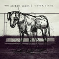 Wonder Years - Sister Cities (30th Anniversary Edition/Clear Vinyl + Booklet) (New Vinyl)