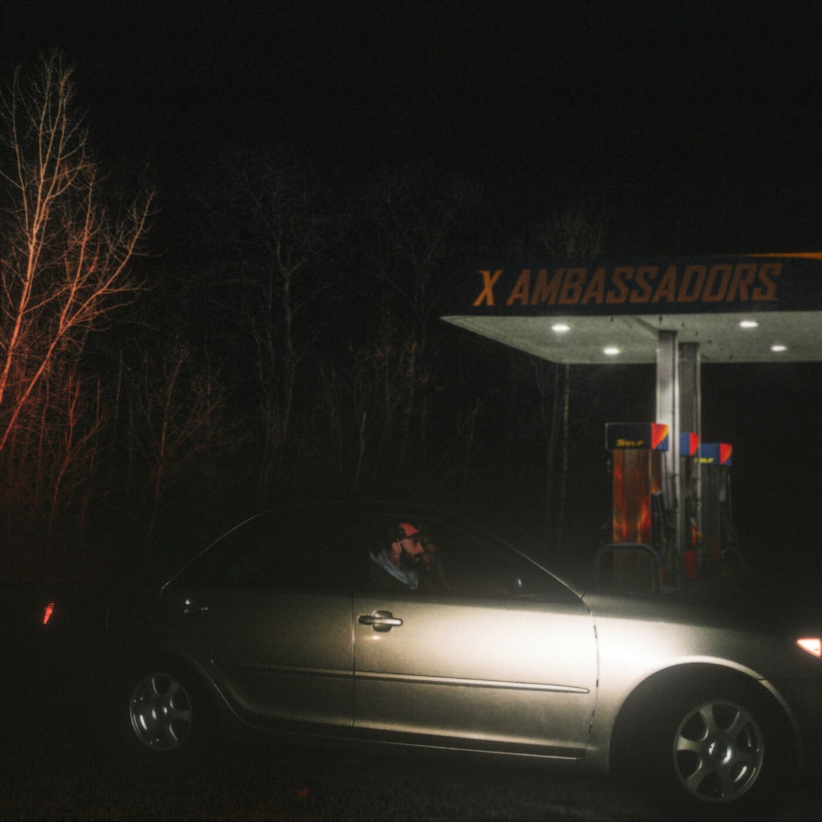 X Ambassadors - Townie (New Vinyl)