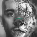Zayn - Konnakol (New Vinyl)