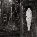 Wolves In The Throne Room - Estuary (Silver Vinyl) (New Vinyl)