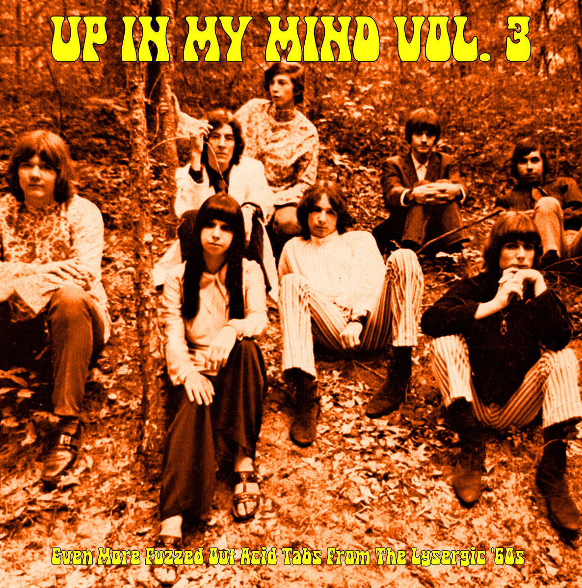 Various Artists - Up In My Mind Vol. 3: Even More Fuzzed Out Acid Tabs From The Lysergic '60s (New Vinyl)
