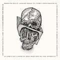 Scorpion Milk - Flesh Masks For Skulls (New Vinyl)