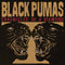 Black Pumas - Chronicles of a Diamond (Standard Black) (New Vinyl) **PRE-ORDER** OCTOBER 27th RELEASE DATE