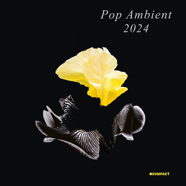 Various - Pop Ambient 2024 (New Vinyl)