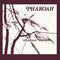 Pharoah Sanders - Pharoah (2LP Deluxe Edition) (New Vinyl)