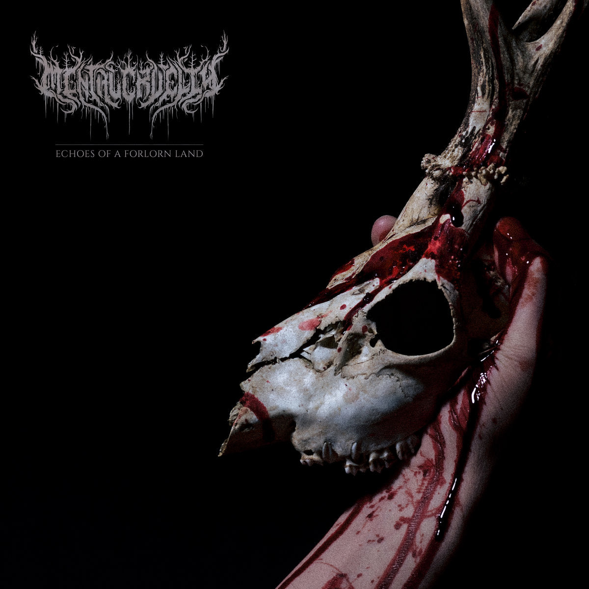 Mental Cruelty - Echoes Of A Forlorn Land (Transparent Red Vinyl) (New Vinyl)