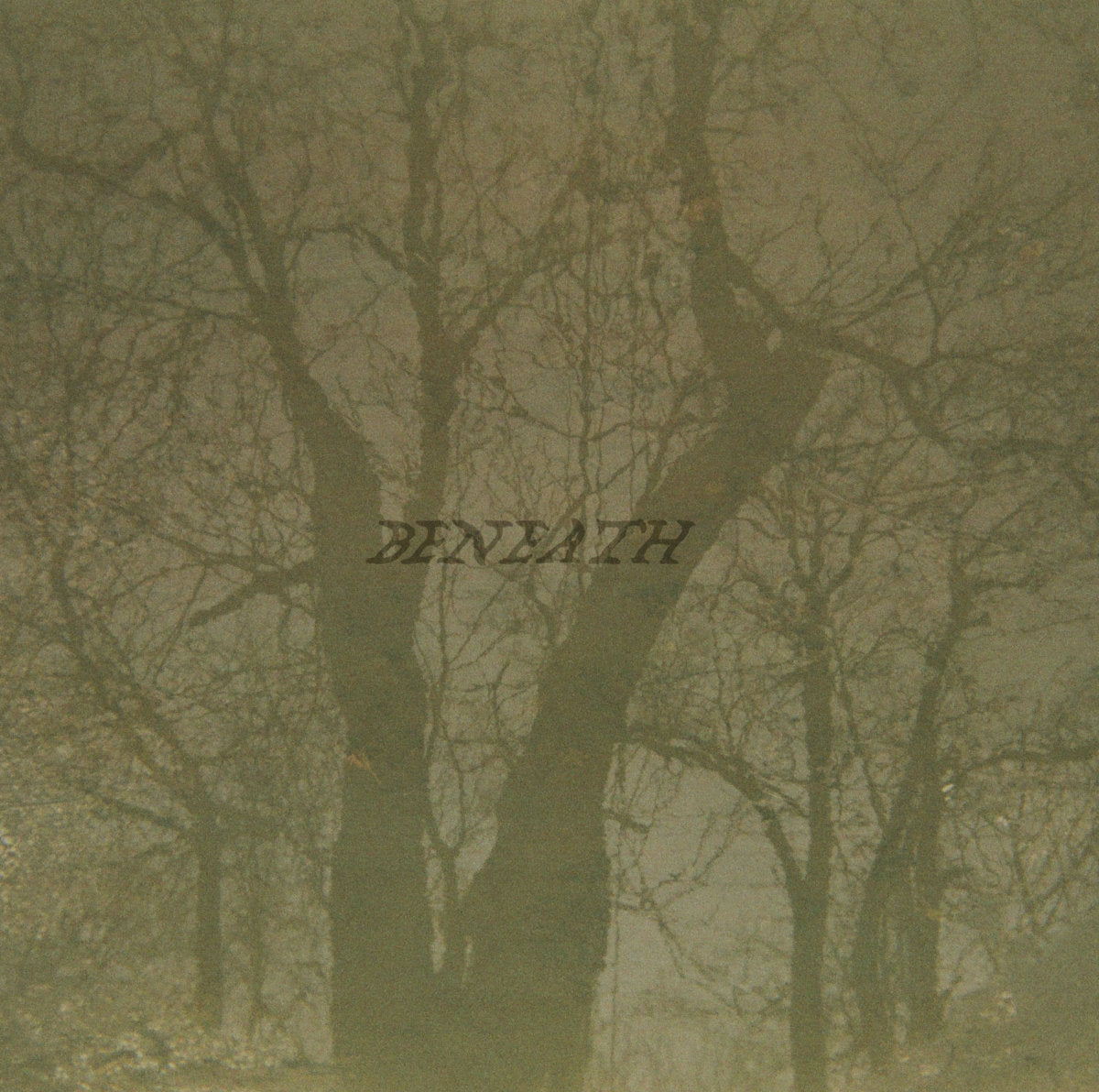 Bog Moss - Beneath (New CD)