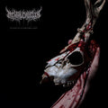 Mental Cruelty - Echoes Of A Forlorn Land (Limited CD Digipak) (New CD)