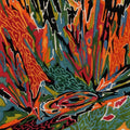 Akusmi - Terra Incognita (New CD)