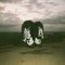 Death From Above 1979 - The Physical World (11th Anniversary 2LP Colour Vinyl) (New Vinyl)