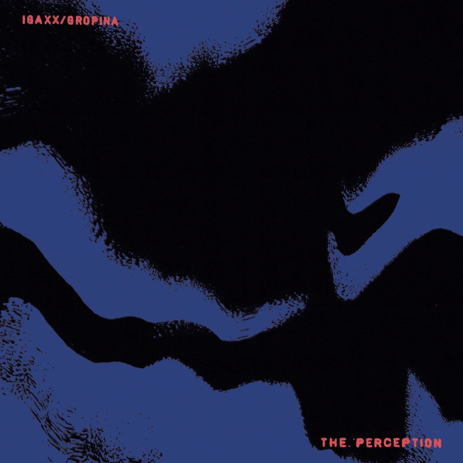 Igaxx / Gropina - The Perception (12") (New Vinyl)