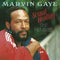 Marvin Gaye - Sexual Healing: The Remixes (New Vinyl)
