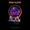 Pink Floyd - Delicate Sound Of Thunder: Remastered (2CD) (New CD)