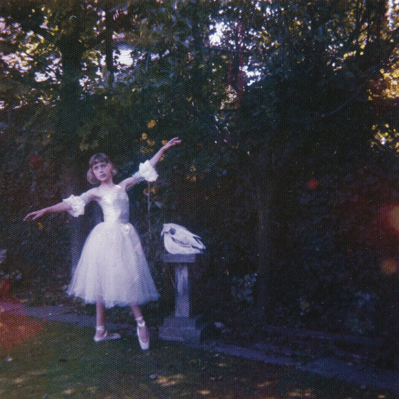 Wolf Alice - Visions Of A Life (New Vinyl)