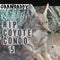 Grandaddy - RIP Coyote Condo #5 12" (New Vinyl) (BF2020)
