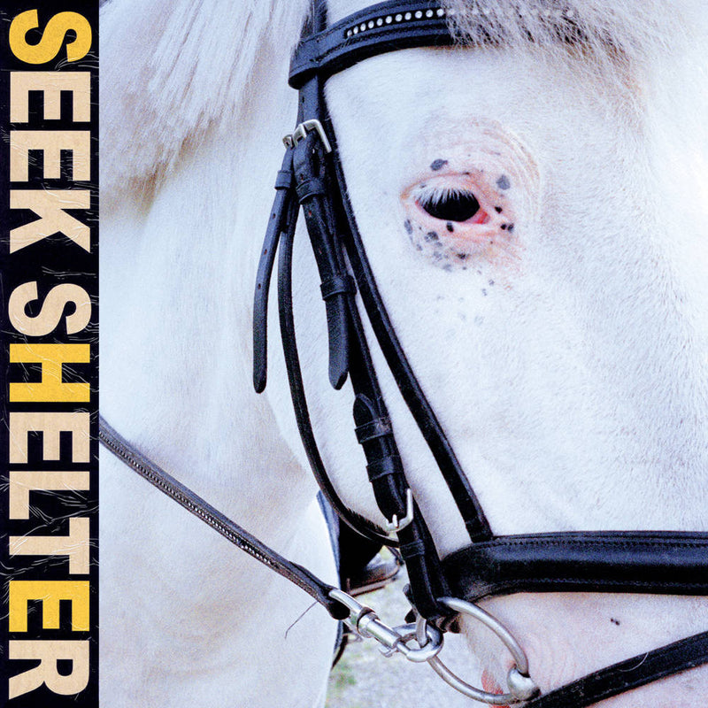 Iceage - Seek Shelter (New Vinyl)