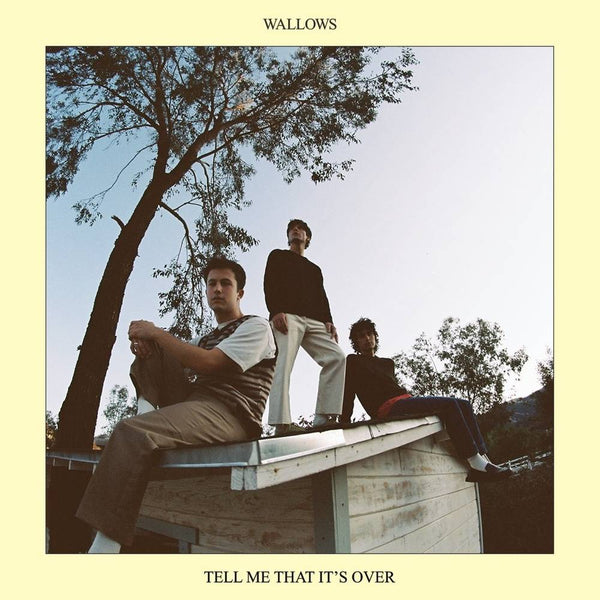 Wallows - Tell Me That It's Over (New CD)