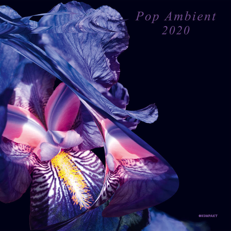 Various Artists - Pop 2020 (New Vinyl)