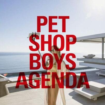 Pet-shop-boys-agenda-12-in-new-vinyl