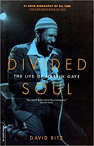 Divided Soul - The Life of Marvin Gaye