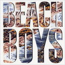 Beach Boys - Beach Boys (180g) (New Vinyl)