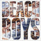 Beach Boys - Beach Boys (180g) (New Vinyl)