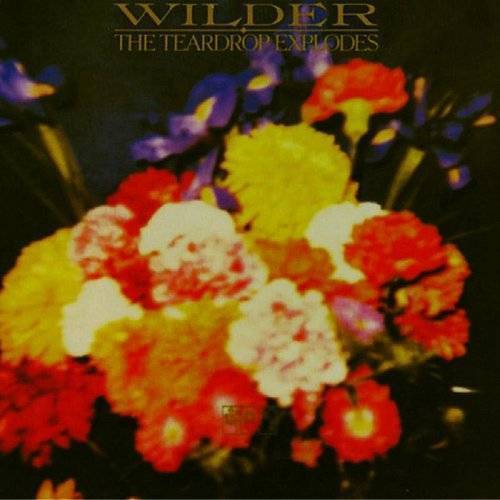Teardrop-explodes-wilder-new-vinyl