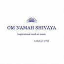 Laraaji-om-namah-shivaya-new-vinyl