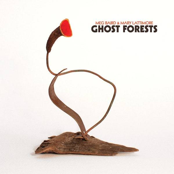 Meg Baird And Mary Lattimore - Ghost Forests (Ltd Clear) (New Vinyl)