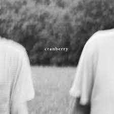 Hovvdy - Cranberry (New Vinyl)
