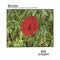 Wild Poppies - Heroine: The Wild Poppies Complete Collection (1986-1989) (New Vinyl)
