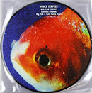 Vince Staples - Big Fish Theory (Picture Disc) (New Vinyl)