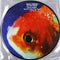 Vince-staples-big-fish-theory-picture-disc-new-vinyl