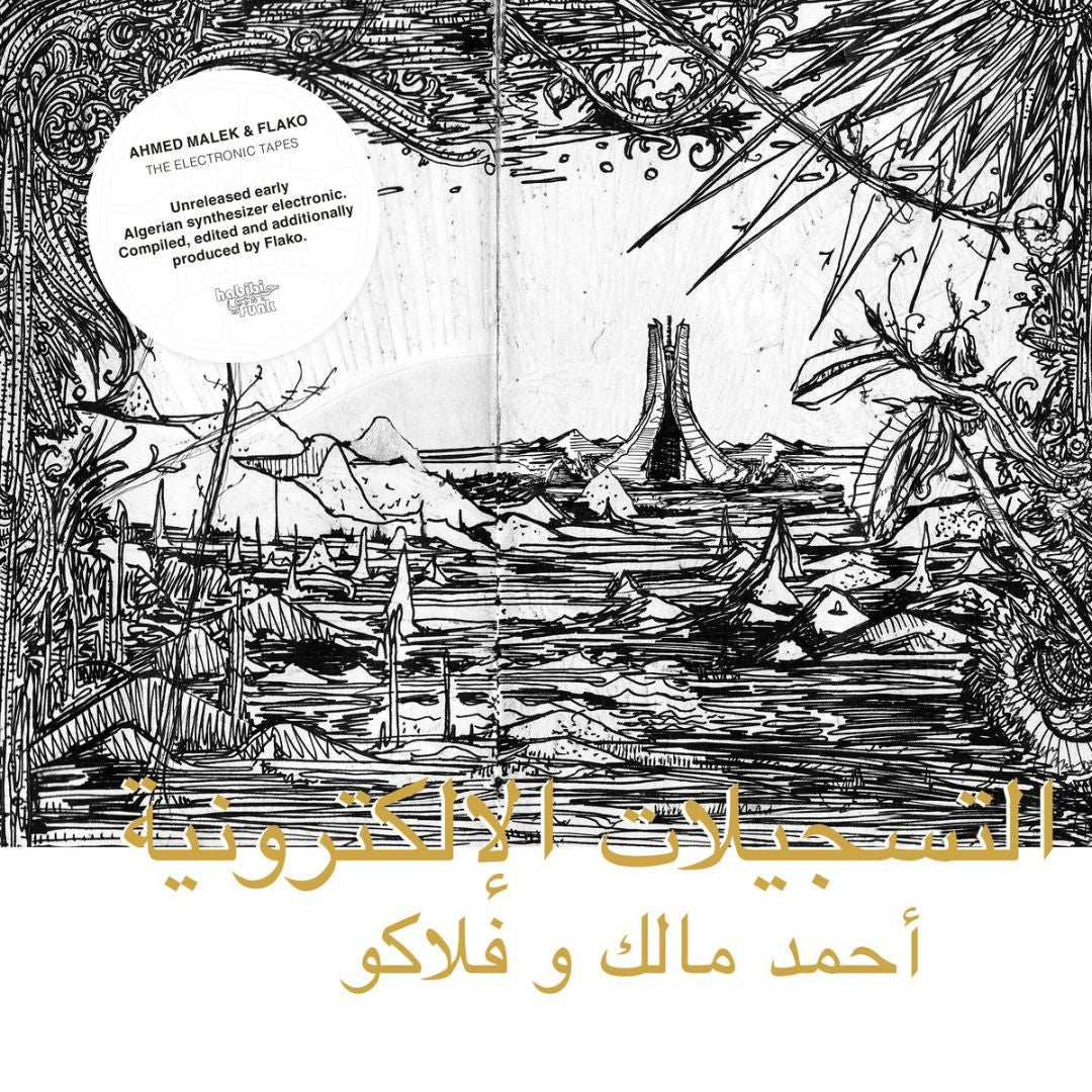 Ahmed-malek-and-flako-electronic-tapes-new-vinyl
