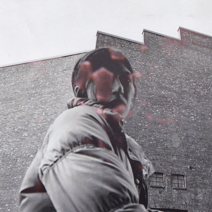 Aldous Harding - Warm Chris (New Vinyl)