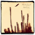 Alejandro-escovedo-crossing-new-vinyl