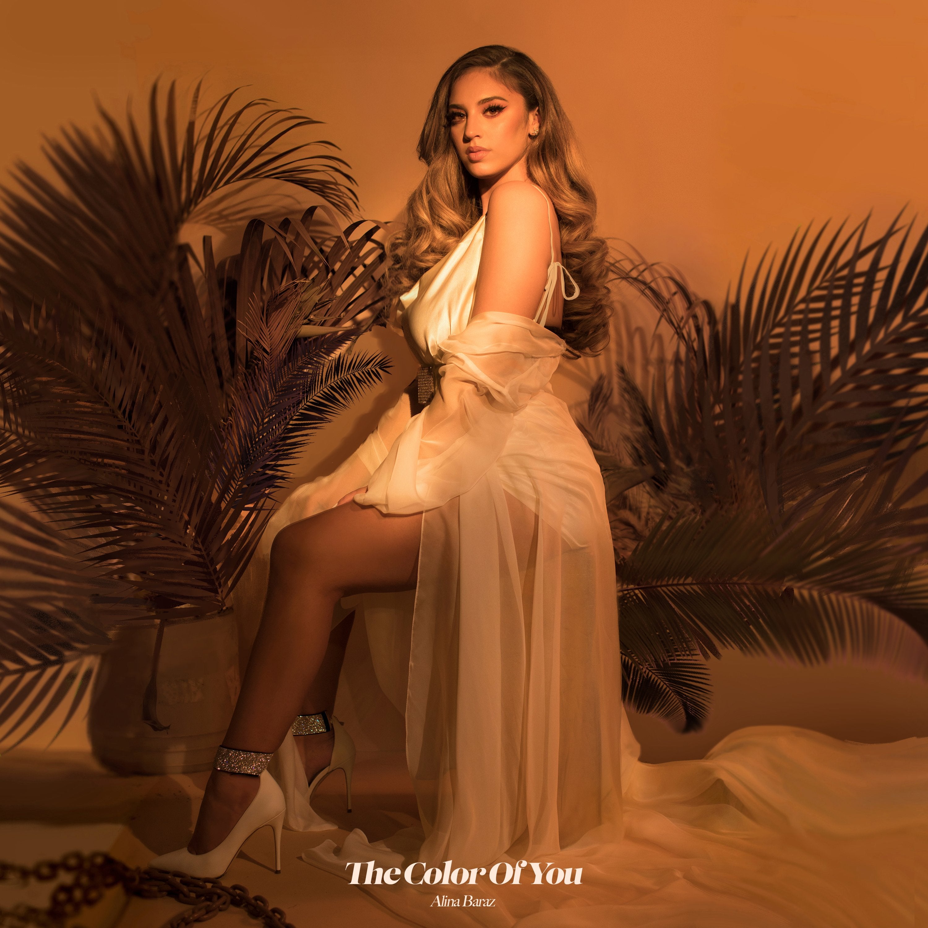 Alina-baraz-color-of-you-new-vinyl