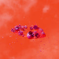 Ami Dang - The Living World's Demands (New Vinyl)