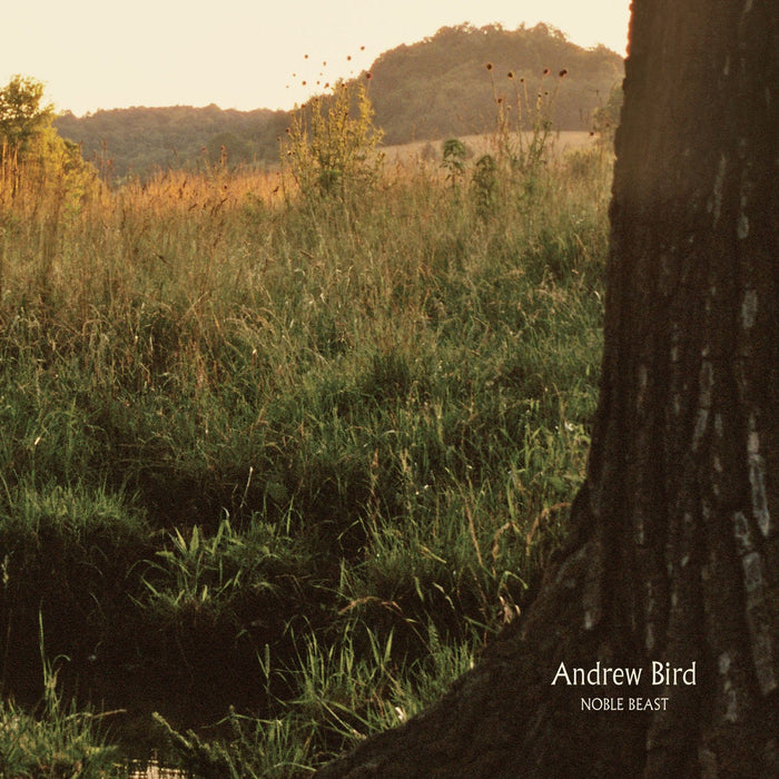 Andrew-bird-noble-beast-new-vinyl