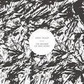 Andy-shauf-bearer-of-bad-news-new-vinyl