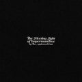 Appleseed-cast-fleeting-light-of-impermanence-new-vinyl