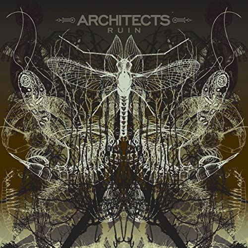 Architects - Ruin (New Vinyl)