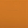 Basement - Colourmeinkindness (2LP Deluxe Anniversary Edition/Red) (New Vinyl)