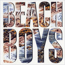 Beach-boys-beach-boys-180g-new-vinyl