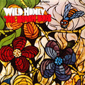 Beach Boys - Wild Honey (50th Anniversary Stereo Mix) (New Vinyl)