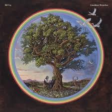 Bill-fay-countless-branches-new-vinyl